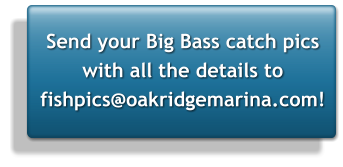 Send your Big Bass catch pics with all the details to fishpics@oakridgemarina.com!