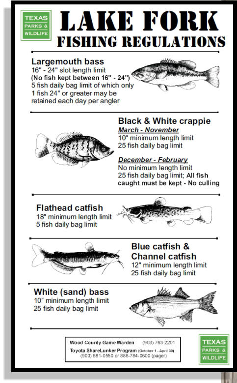 Lake Fork Fishing Regulations